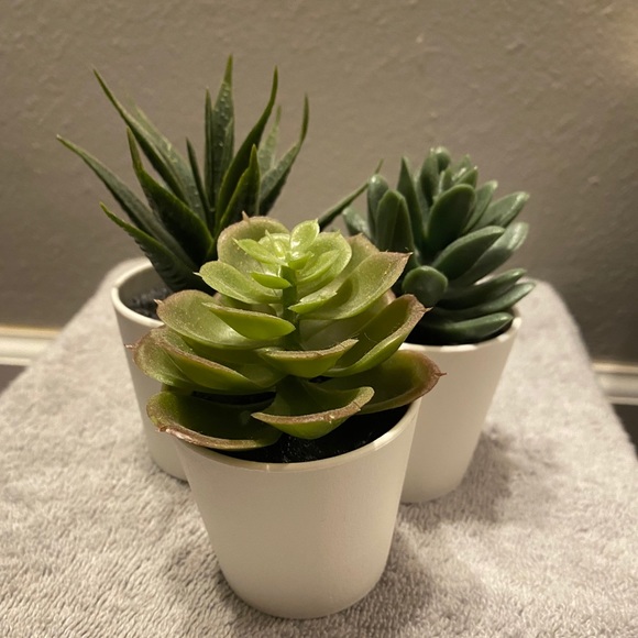 Artificial Potted Succulents Set